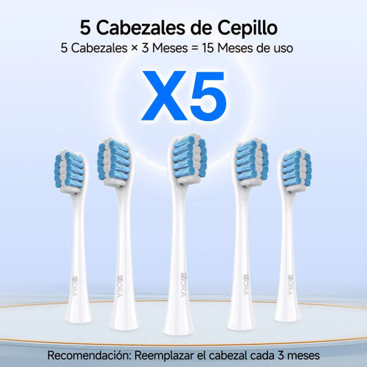 1HORA Cepillo de Dientes Eléctrico Recargable con Temporizador Inteligente CEP001