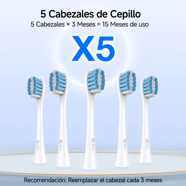 1HORA Cepillo de Dientes Eléctrico Recargable con Temporizador Inteligente CEP001